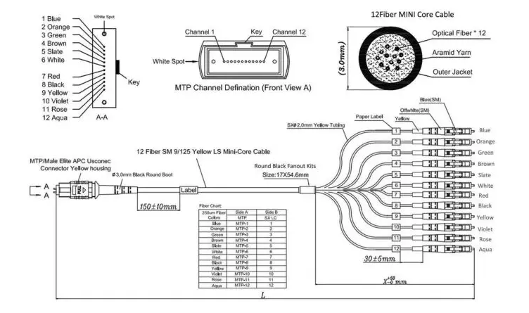 Mpo-st 12f Breakout Cable Fiber Patch Cord - Ontolt.com